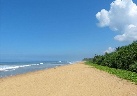 Шри-Ланка из Краснодара The White Haven 2*