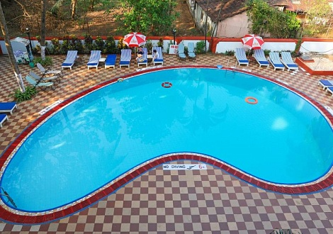 Индия из Краснодара Dona Terezhinha 2*